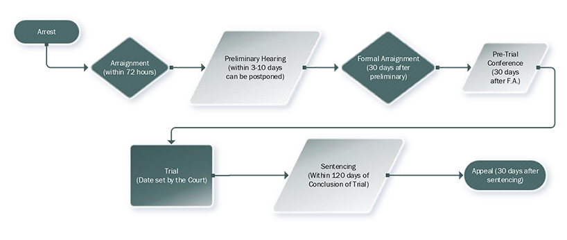 Criminal Justice Flow Chart