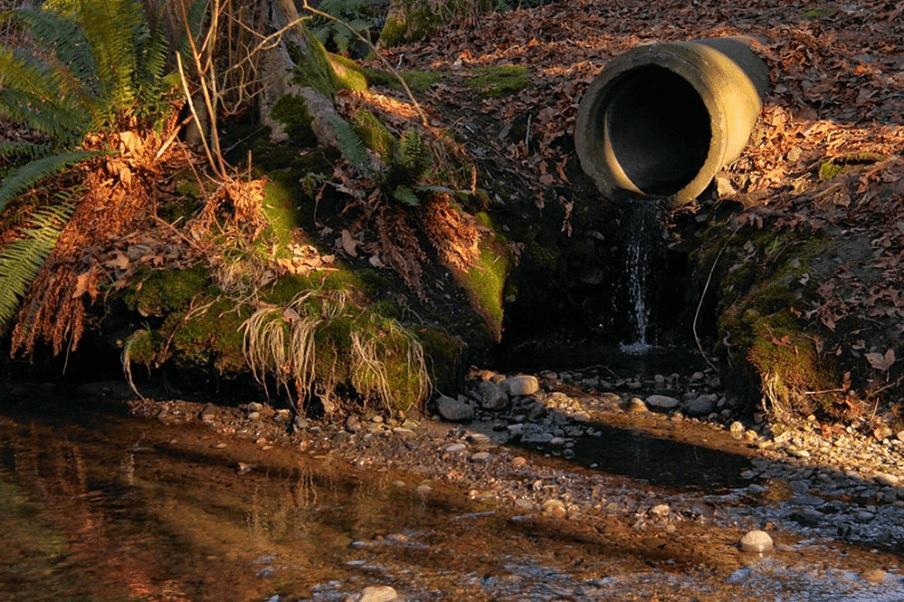 NPDES Program
